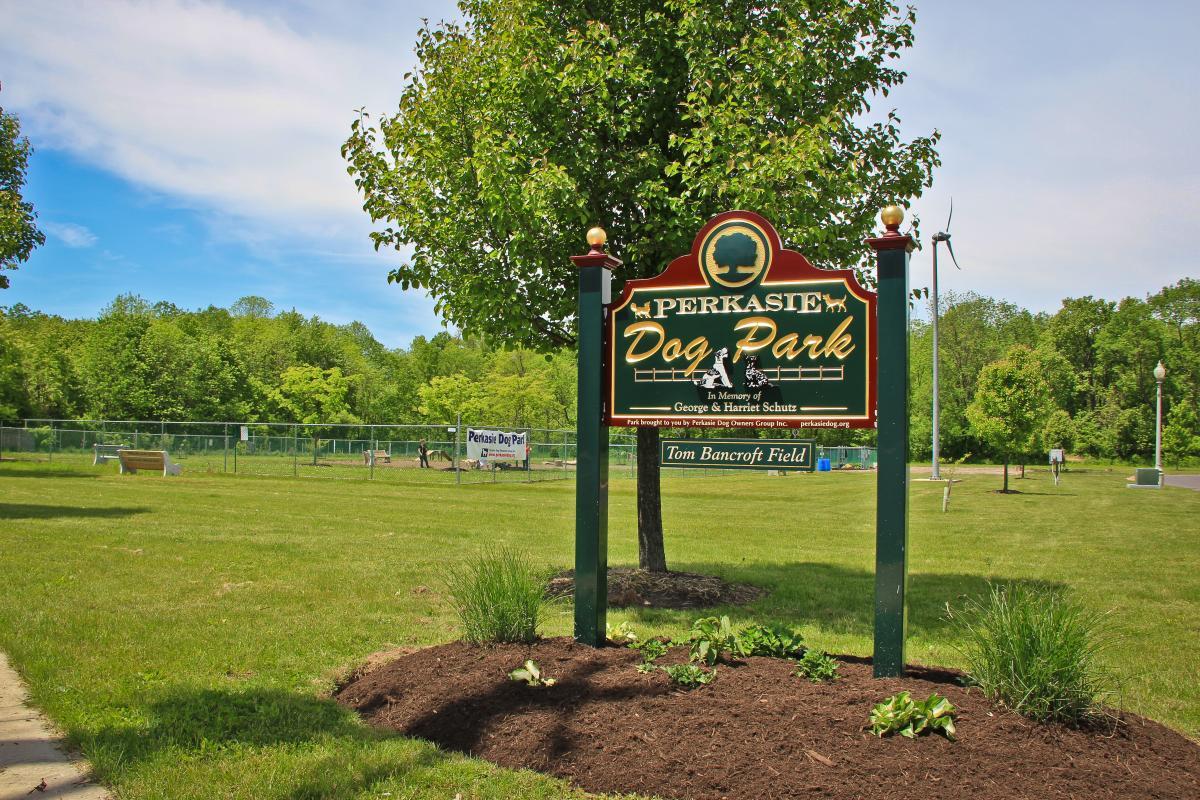 Lenape Park Dog Park