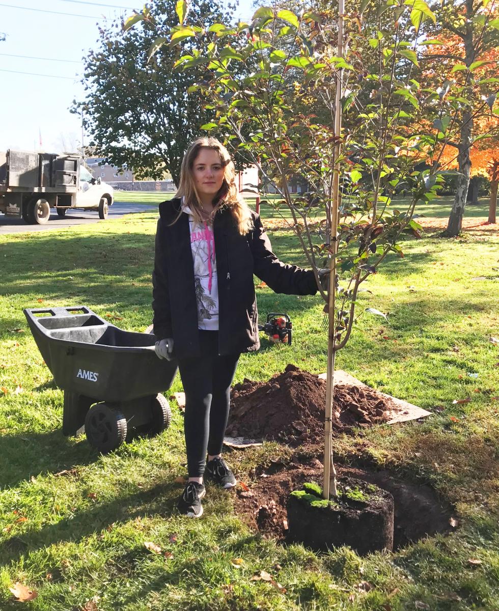 Tree Planting