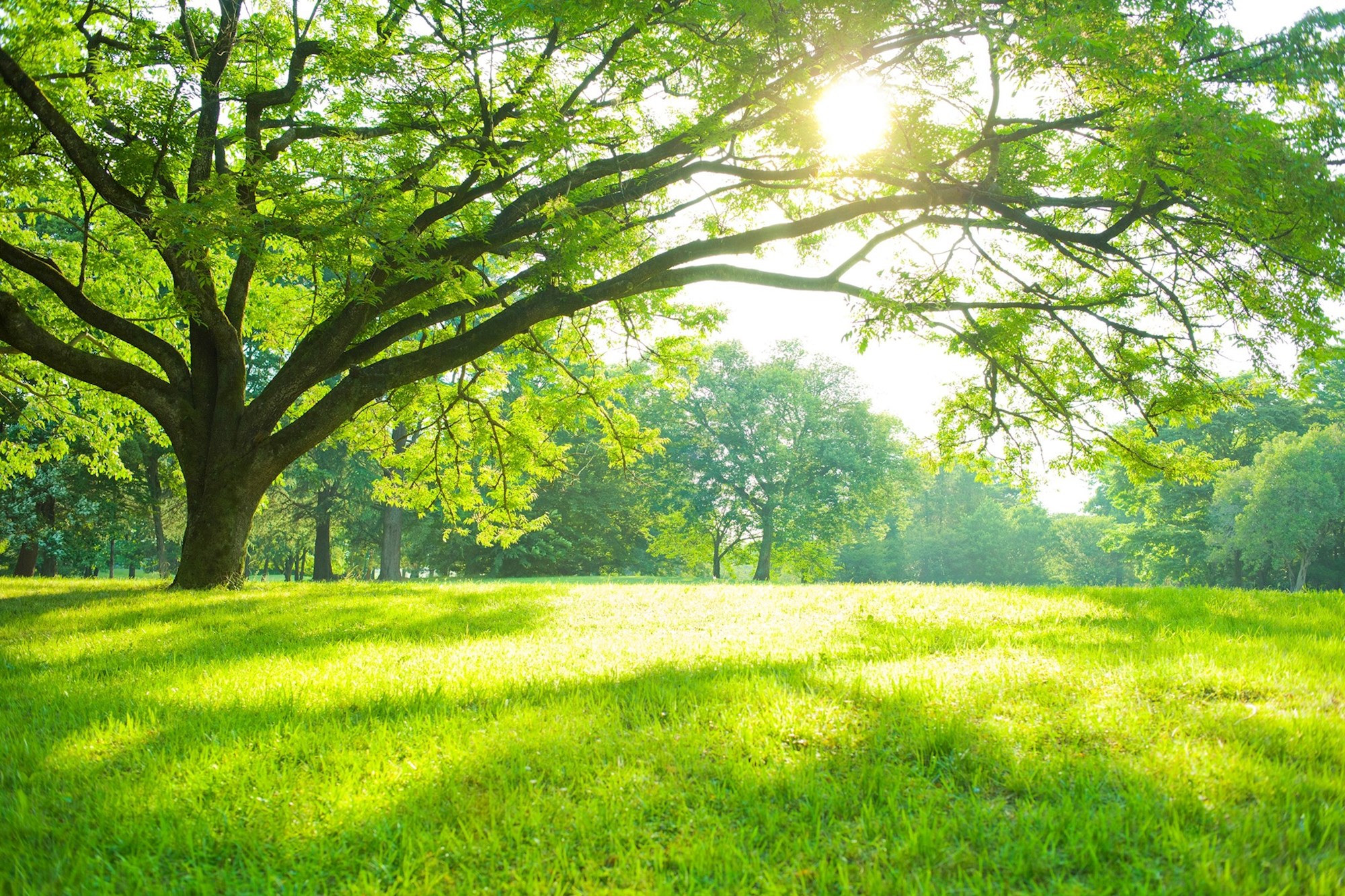 Parks & Recreation Programs